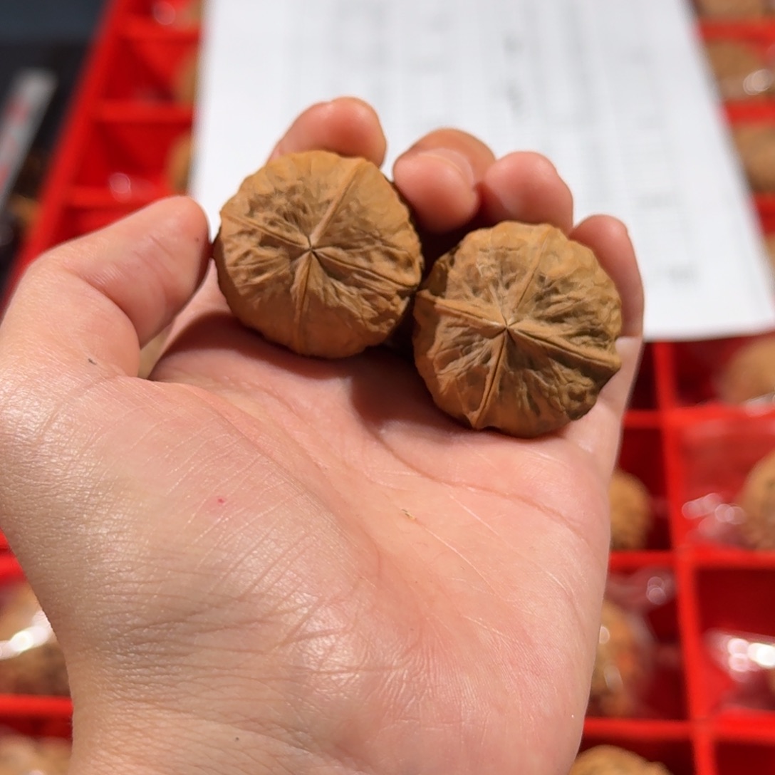 文玩核桃把件95号玉火金砖四棱