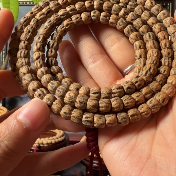 柏香籽/百香籽手串欲**止