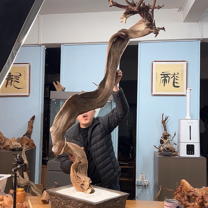 柏木平*我们的生活是以自己为中心