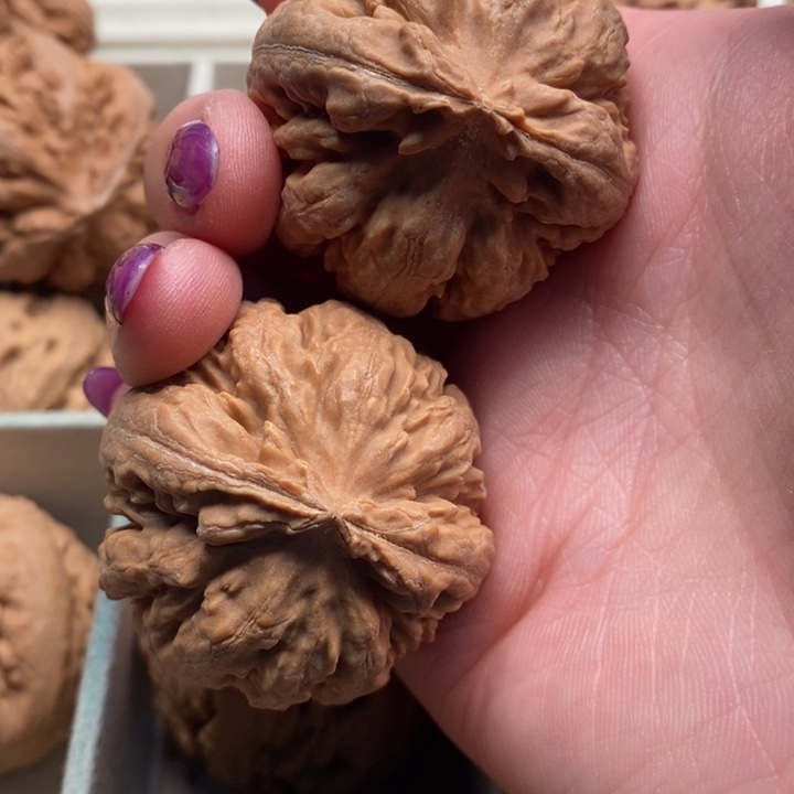 借***光文玩核桃手串霸王龙