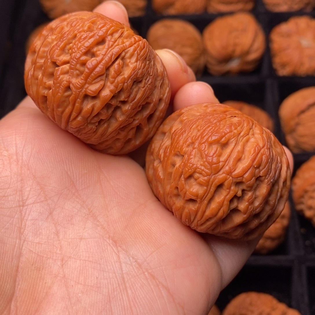 文玩核桃把件秦岭野生核桃