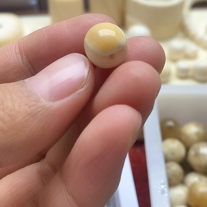 贝壳手串/手链油根料10成9老邢