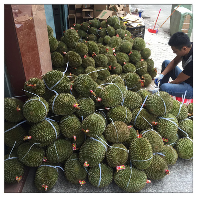 2号链接--奶油猫山新鲜榴莲一物一拍（屁股没有五星）
