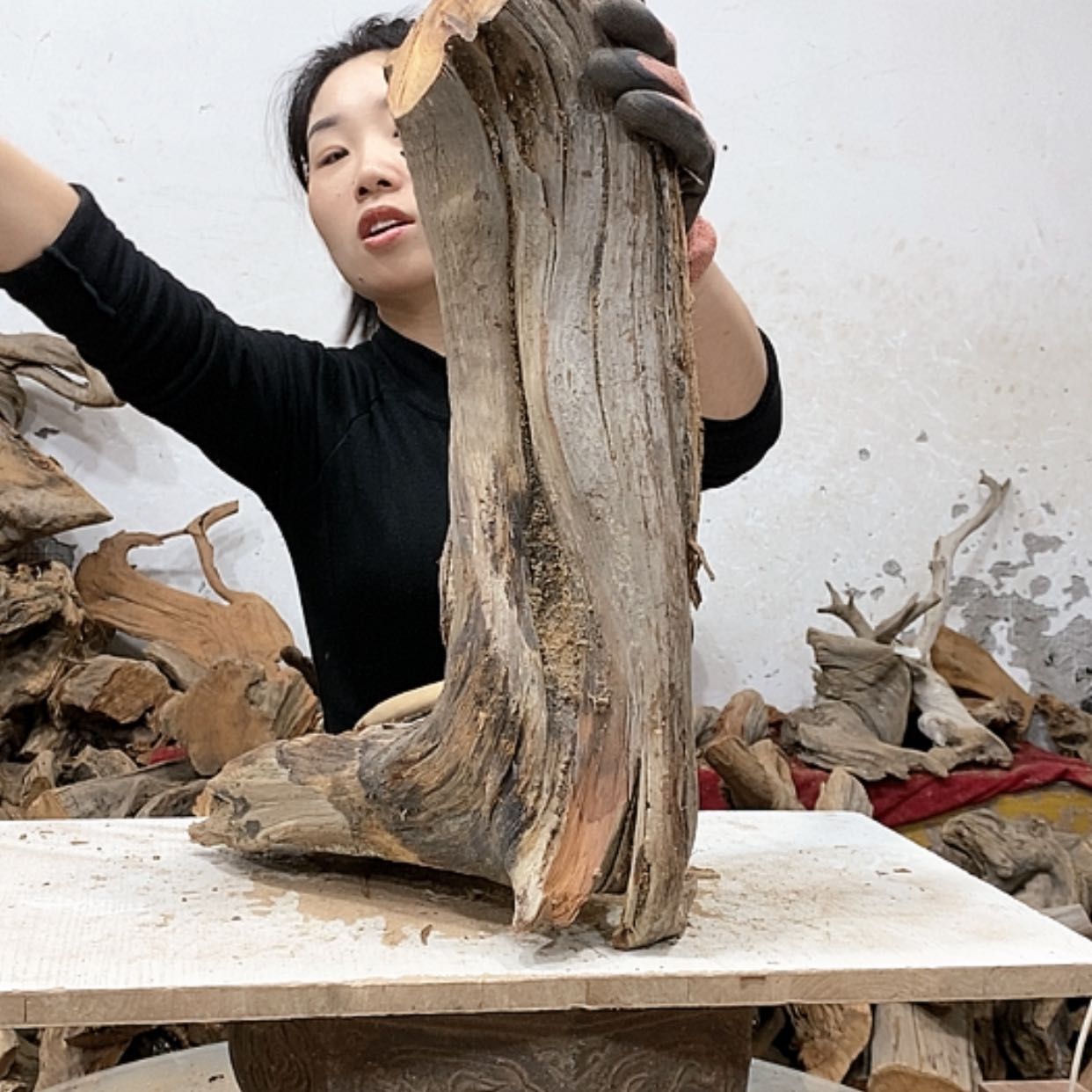 【闪购商品】柏木龍*轩我们都是好孩子