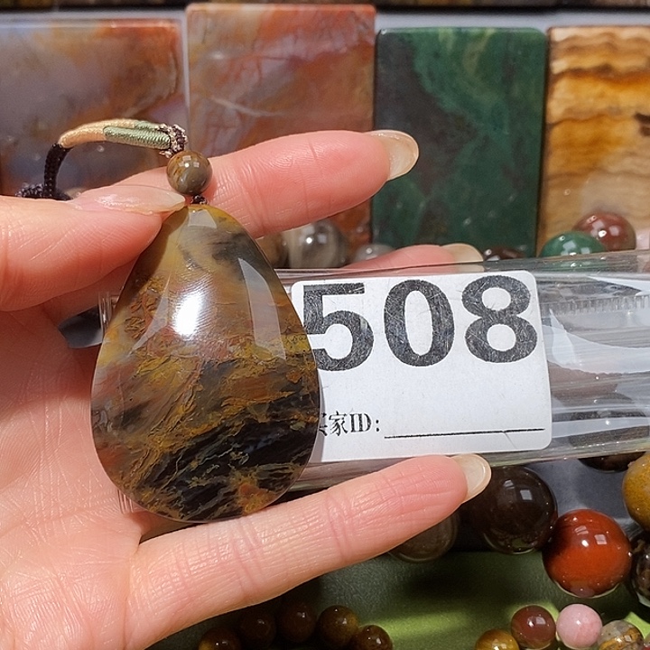 硅化玉未镶嵌天然北票树化玉吊坠