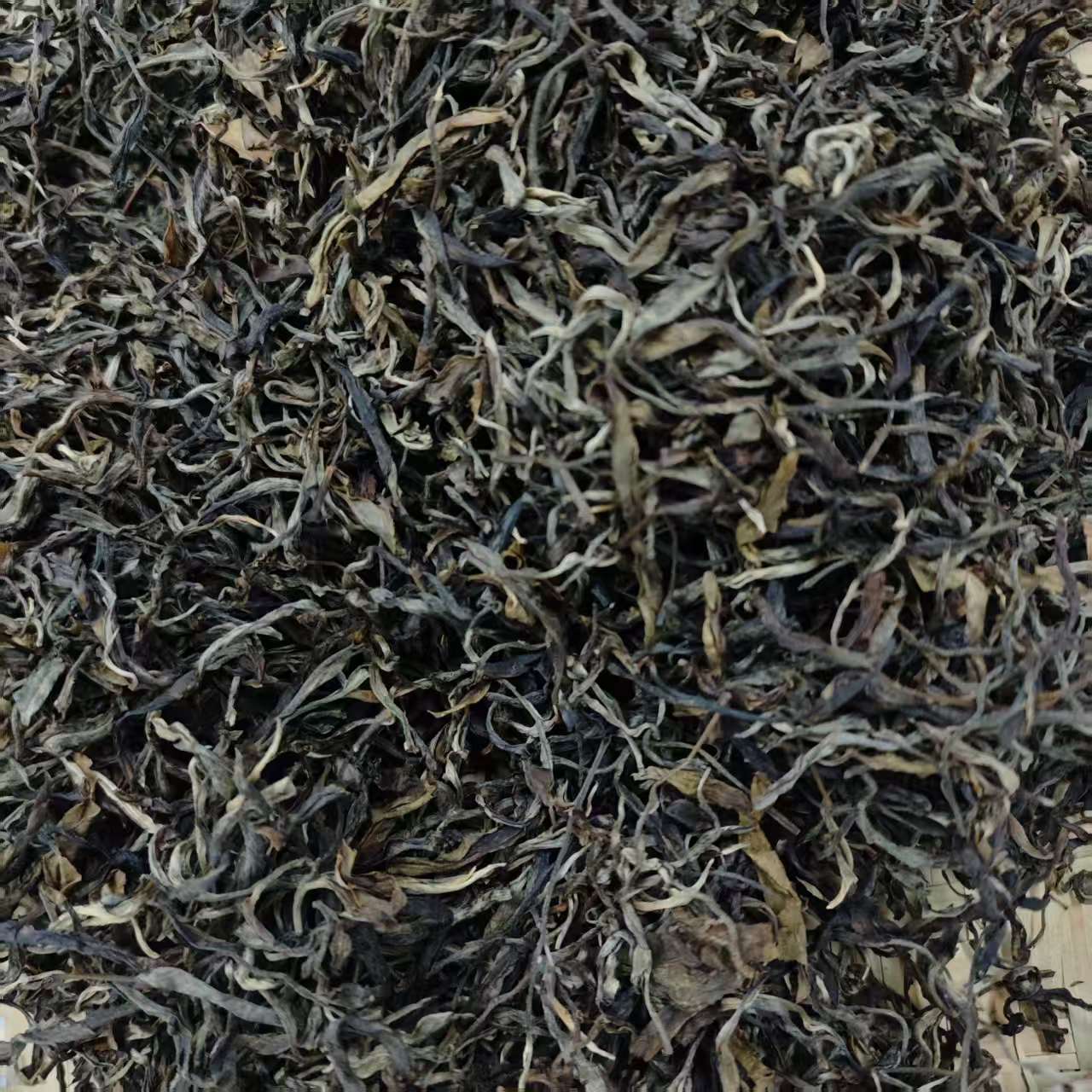 2021年刮风寨猎虎山古树  云南普洱茶 生茶  散茶 