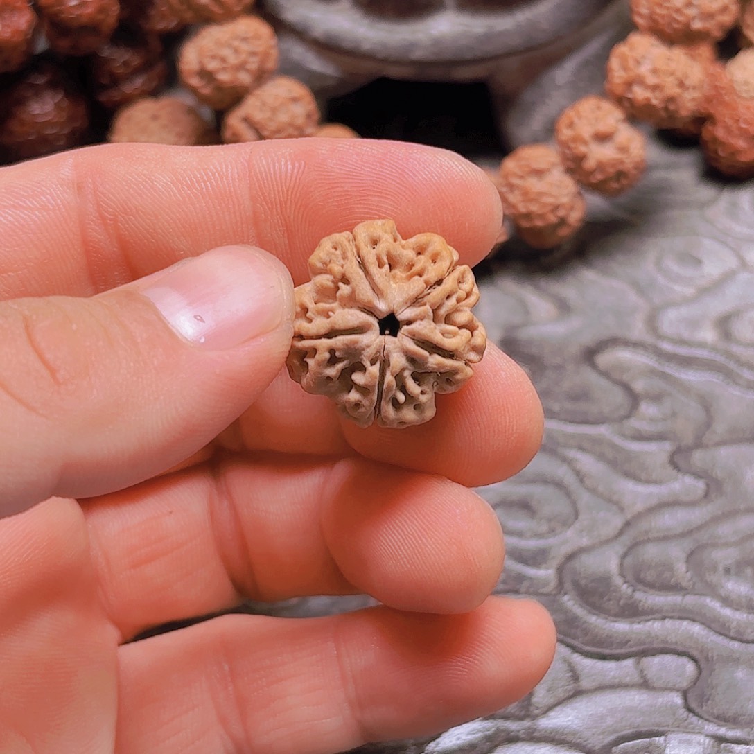 手串金刚菩提i数据流量22安娜梅花