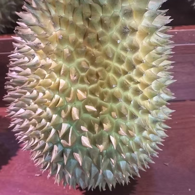 泰国核小新鲜金枕榴莲一果约3/5斤榴莲同城送榴莲同城送榴莲同城配金枕泰国