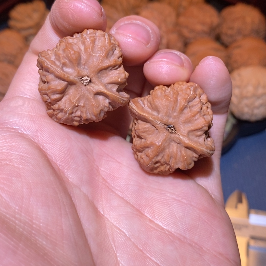 31尺 全品白茬 底价不刀 邢台野麻