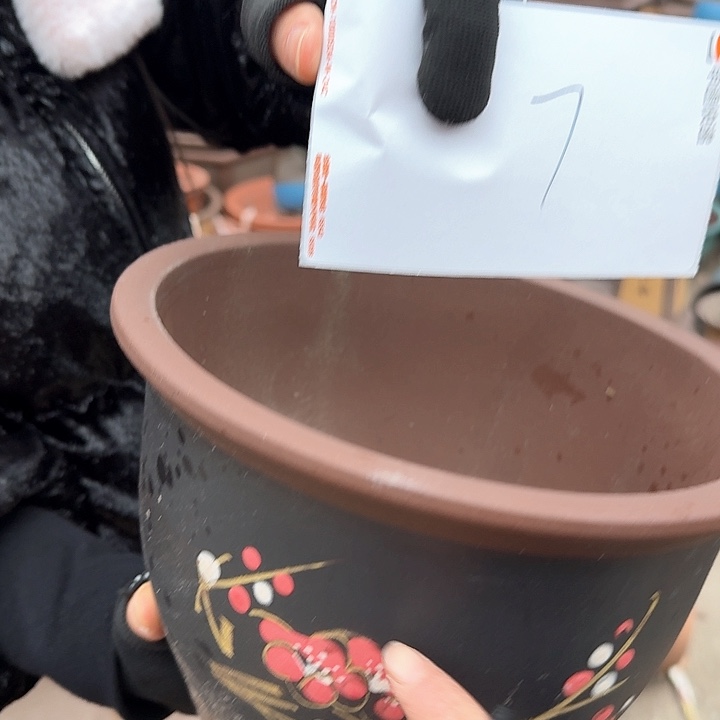 紫砂花盆花盆花盆花盆7