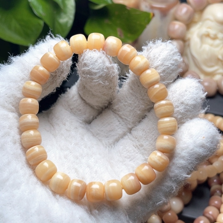 田***圈驼骨手串/手链9✖️8