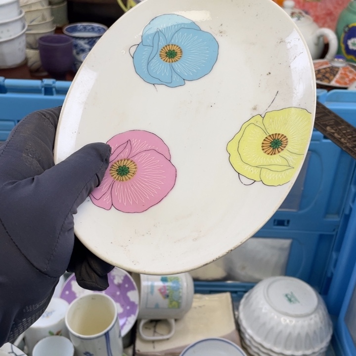 碟开播了开播了开播了