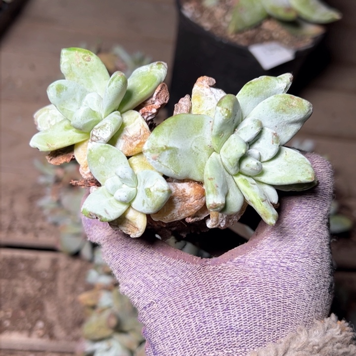 1317哈哈哈哈哈哈哈哈