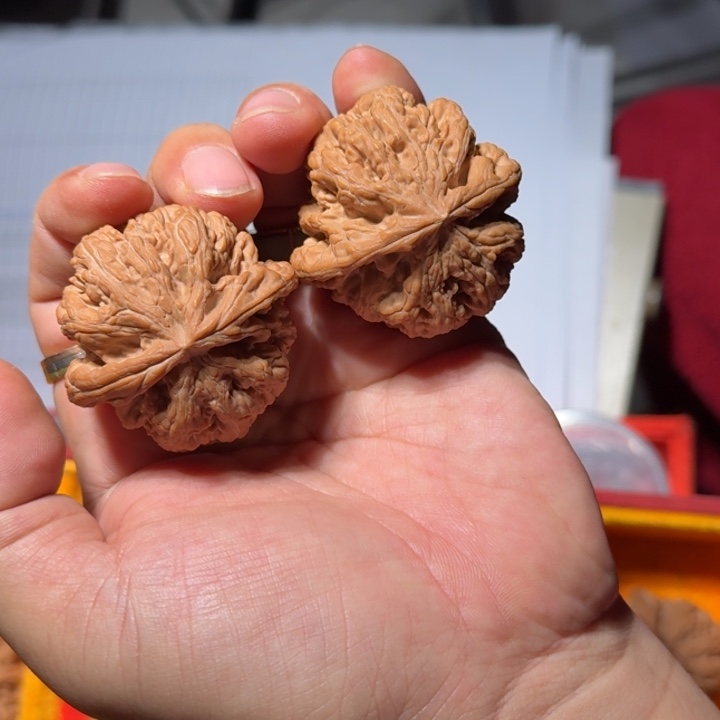 文玩核桃把件521全品大粗筋47mm