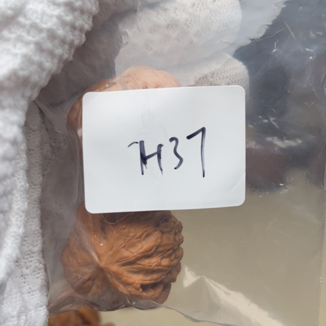 文玩核桃吊坠蛤蟆h37