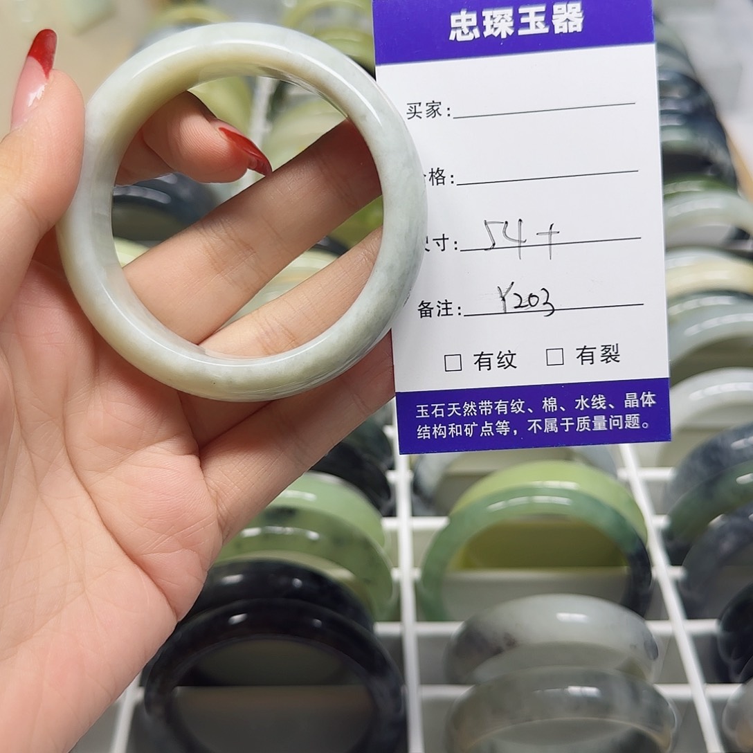 蛇纹石玉手镯未镶嵌Y203