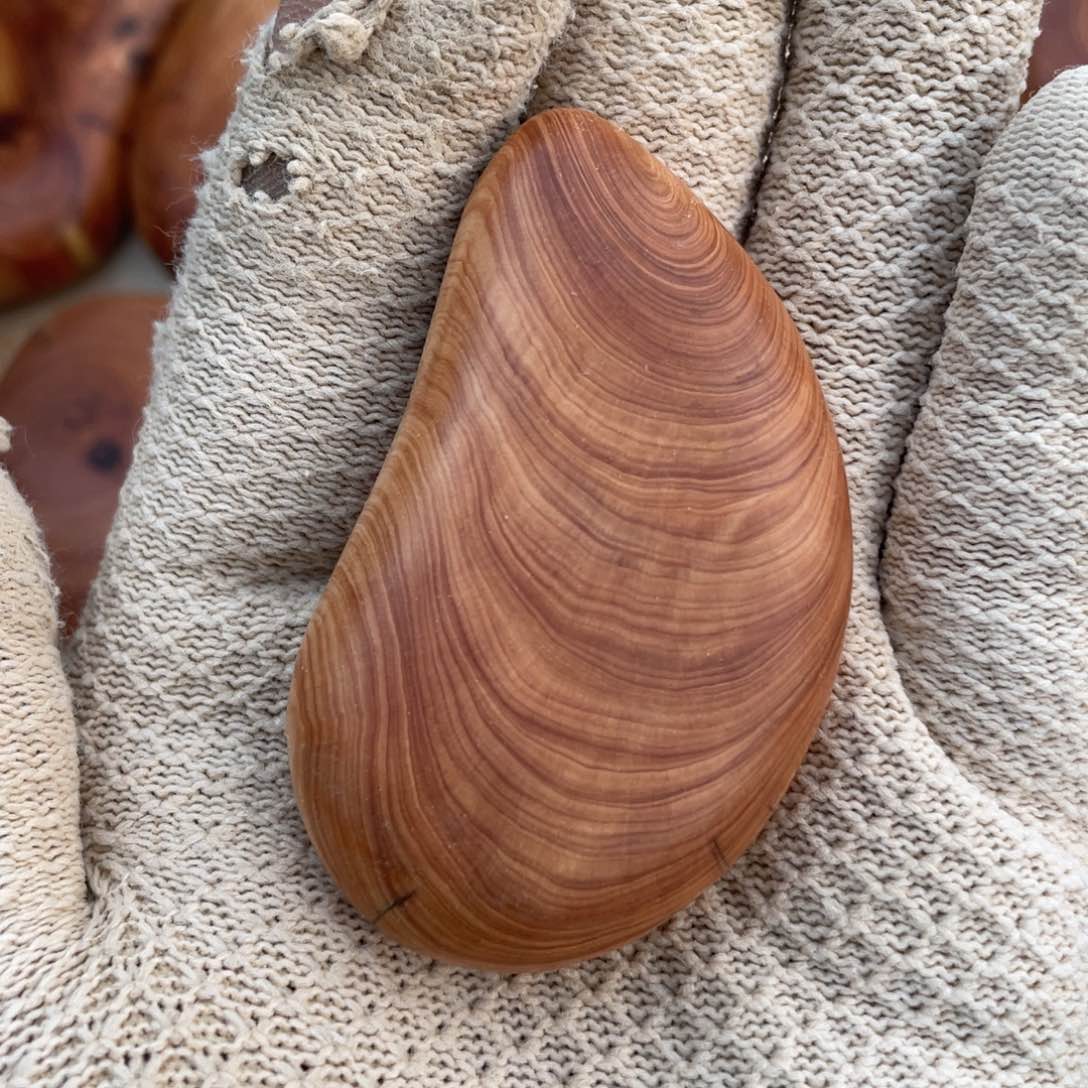 柏木千***~手串等多种