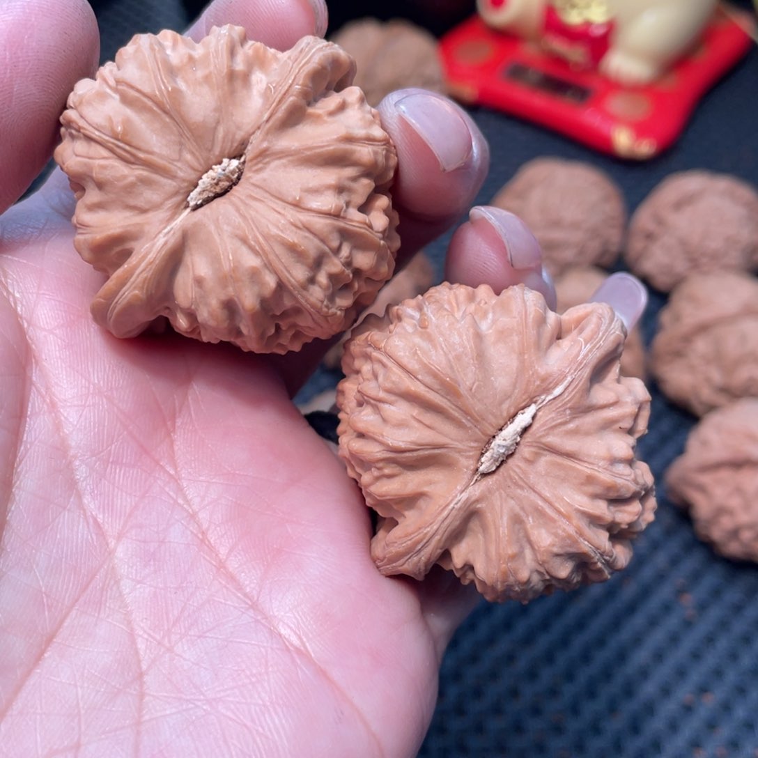 文玩核桃把件白狮子4.2全品