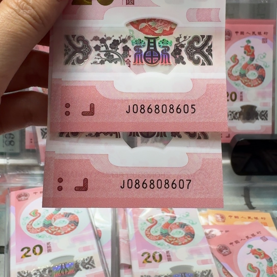 塑料蛇钞J086808605.607