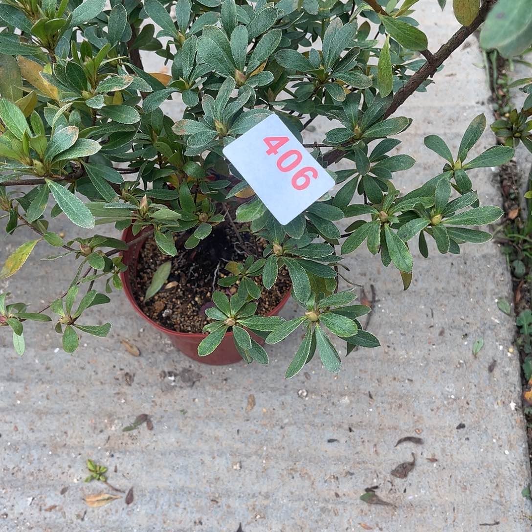 直播时间一直一个