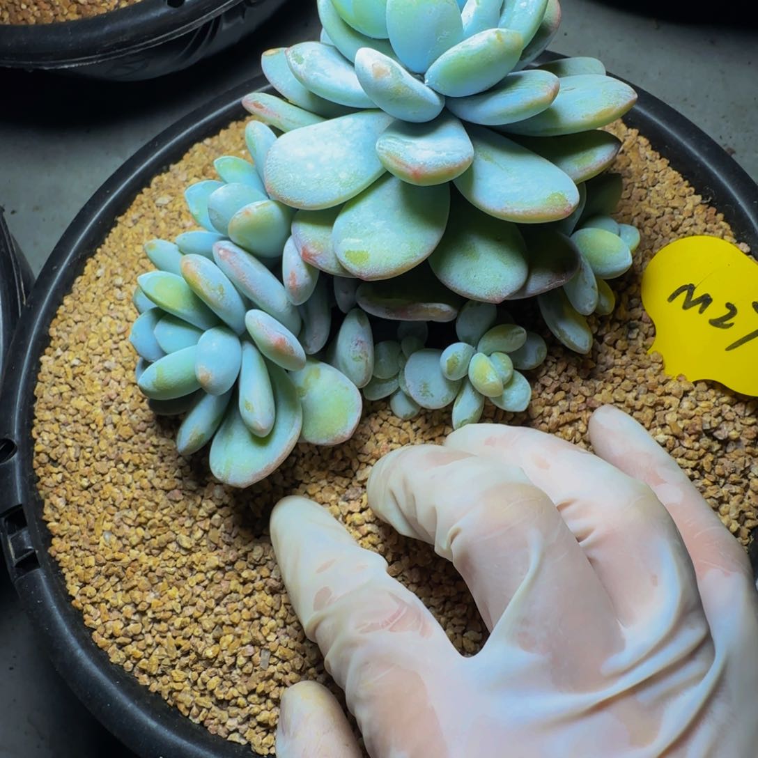 m m m m m m m 27