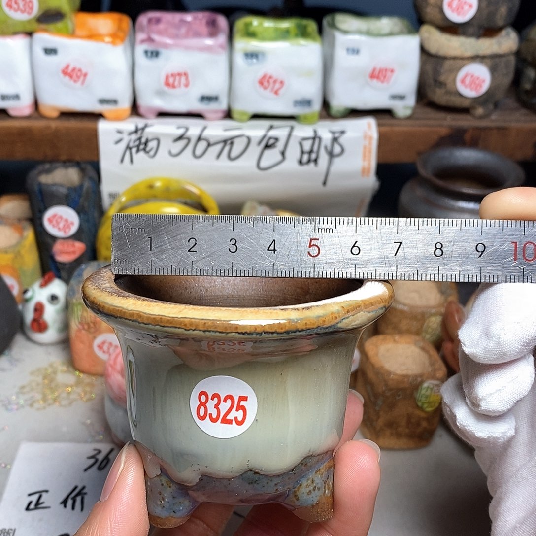 红陶拍5送一个小