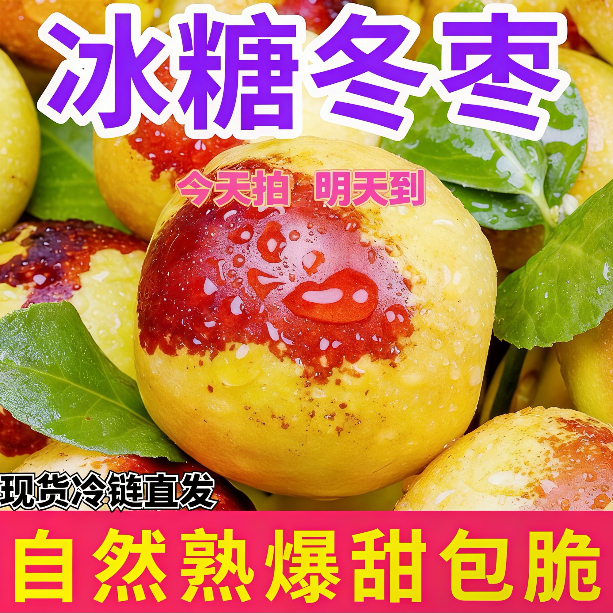 【鲜果明日达】山东沾化冬枣 脆脆的冰糖冬枣清脆爽口 放两天更香甜11.10山东省