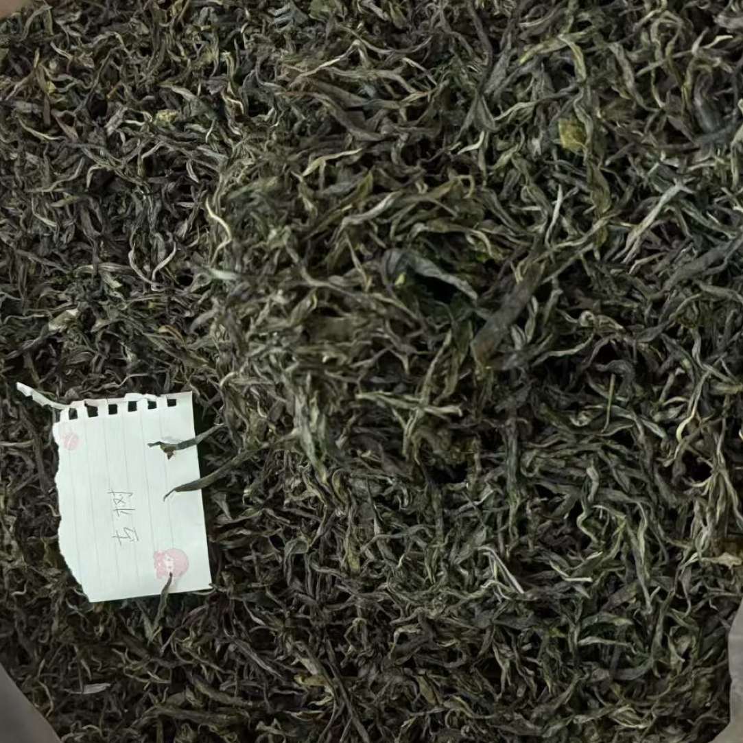 冰岛地界古树春茶
