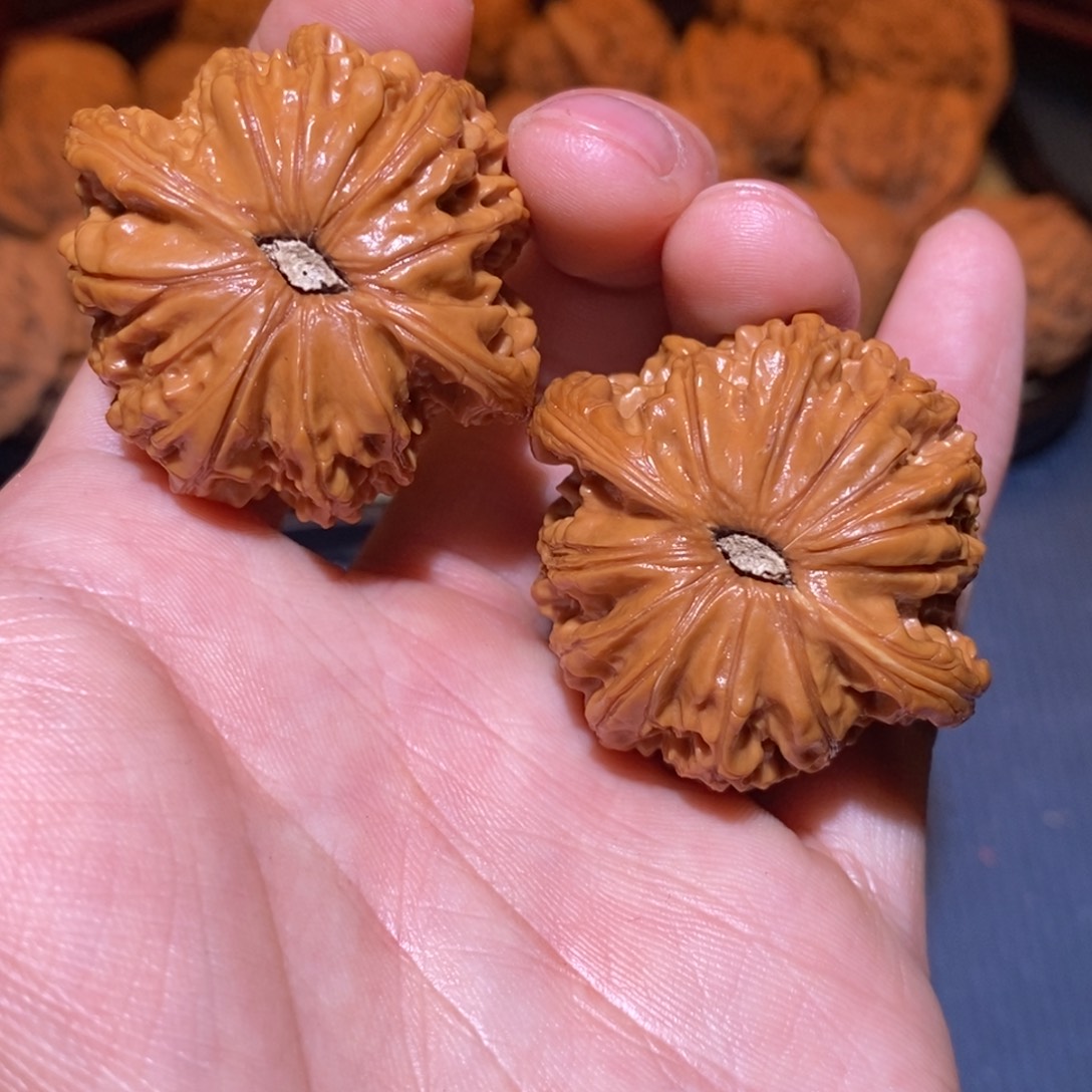 42尺 全品打好底 正磨