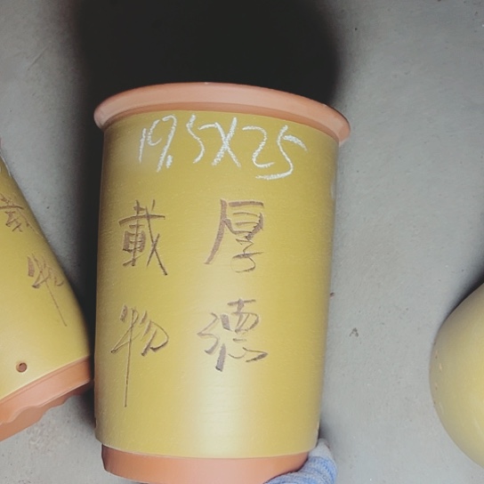 红陶紫砂紫砂紫砂