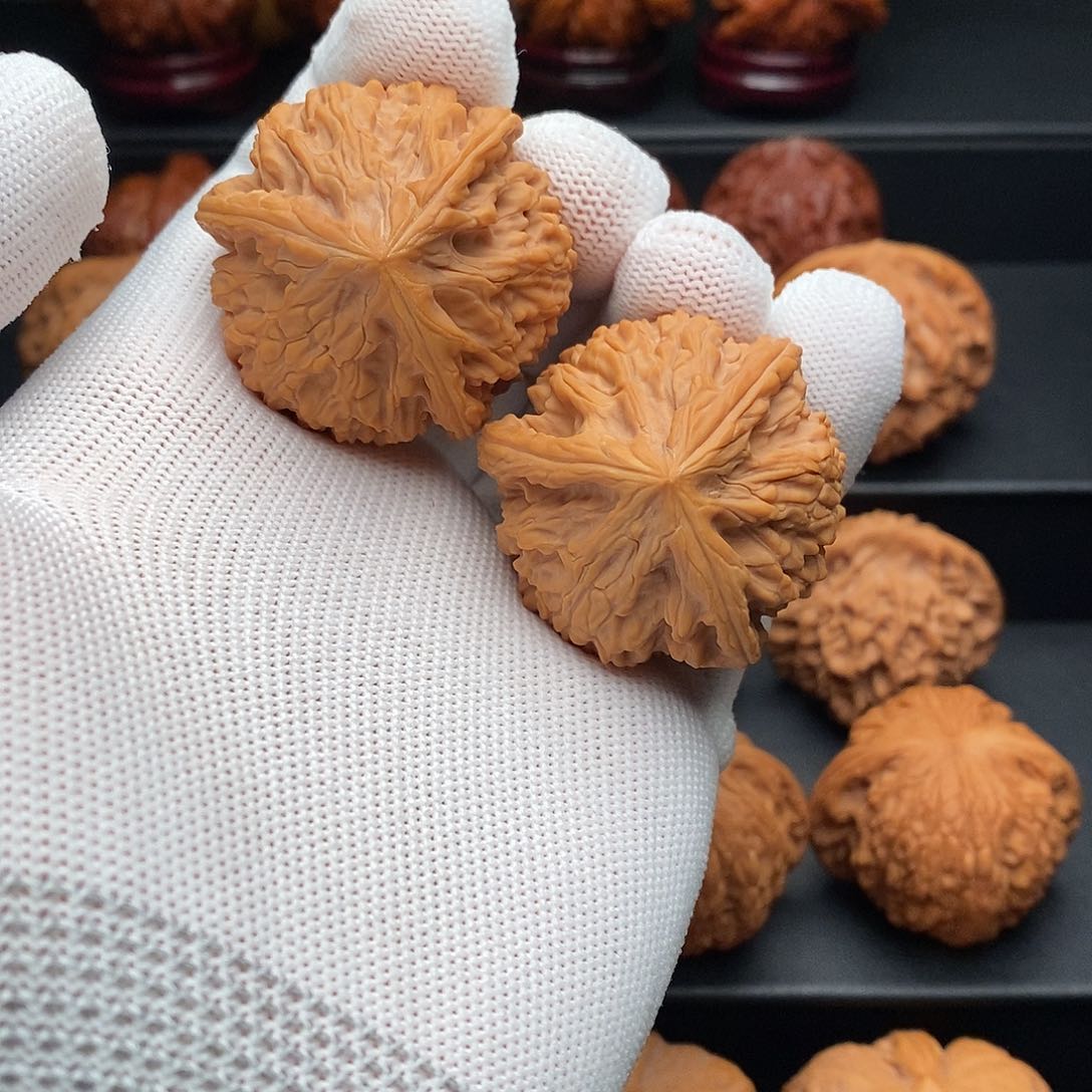 文玩核桃把件39御龙正奔