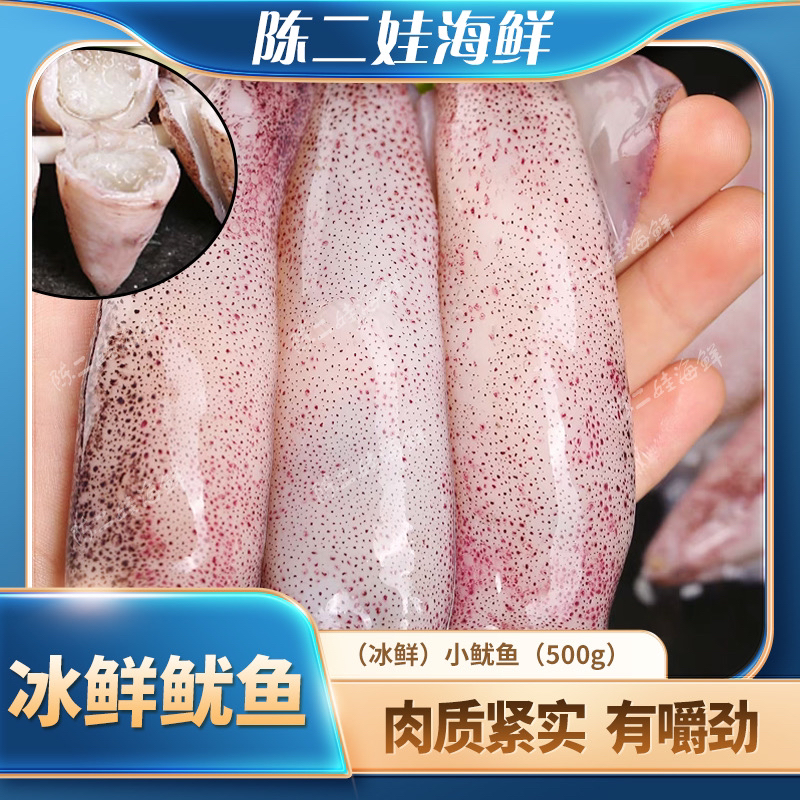 （冰鲜）小鱿鱼 冰冻
