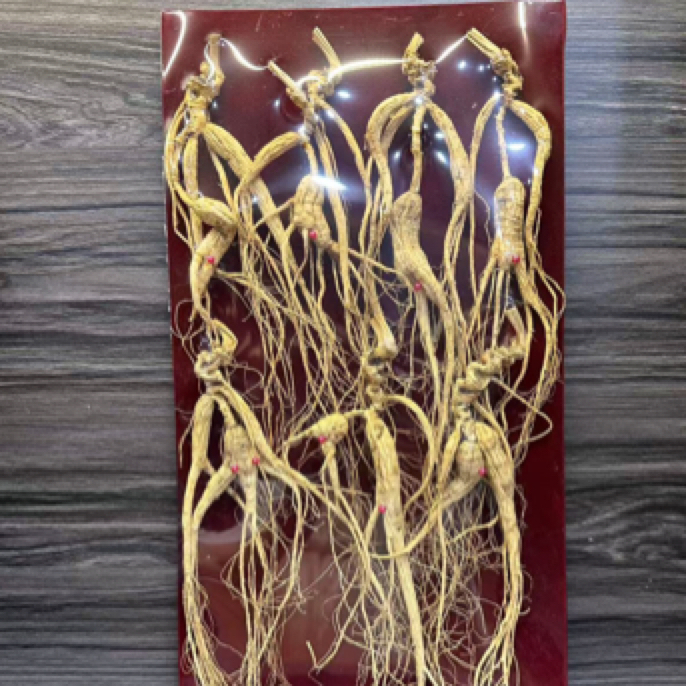 林下籽参长白山人参100克装可搭配礼盒