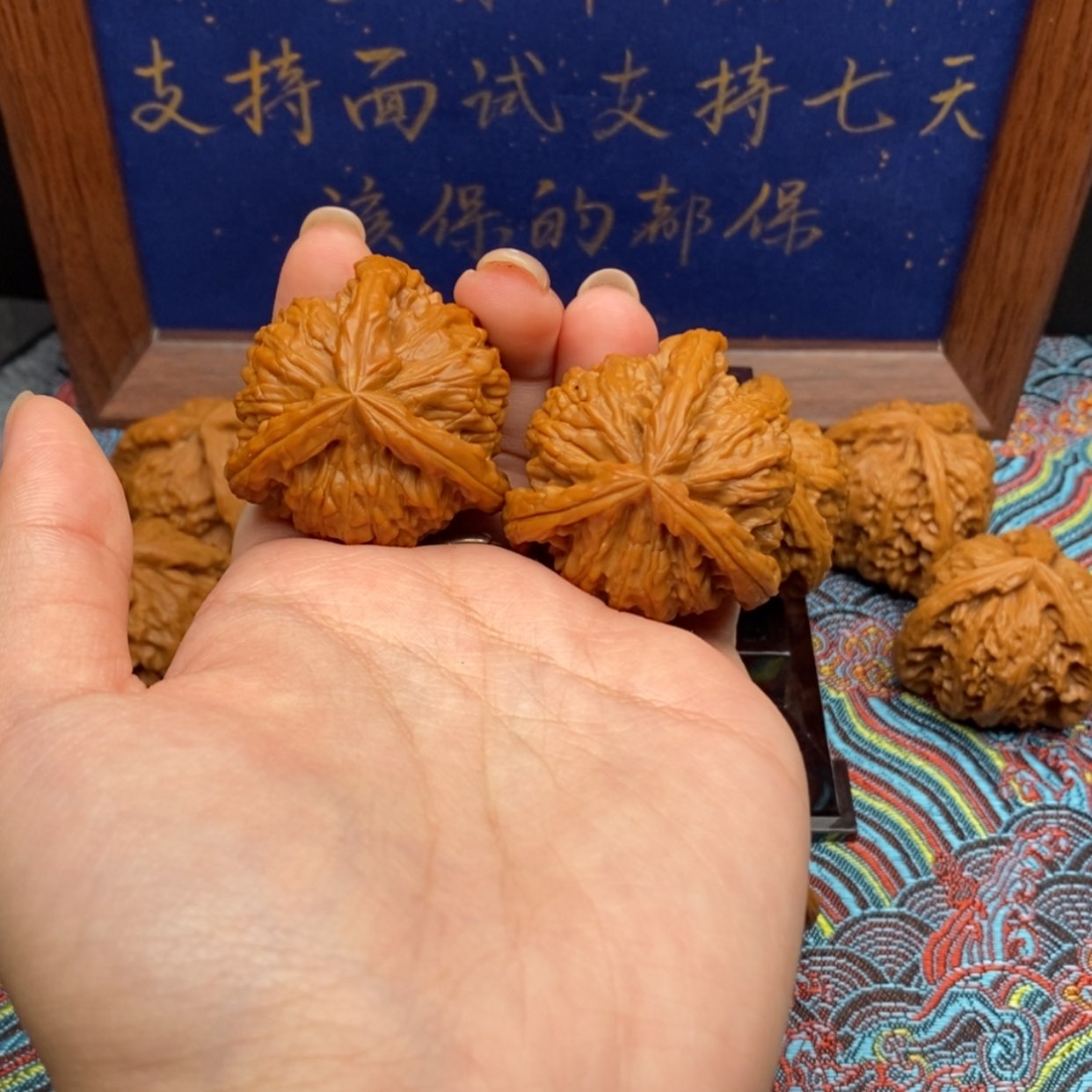 【闪购商品】Z*J白狮