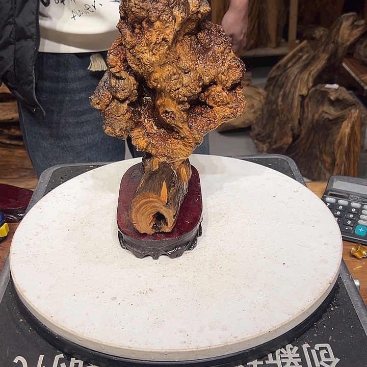 松木（琥珀木）源你要