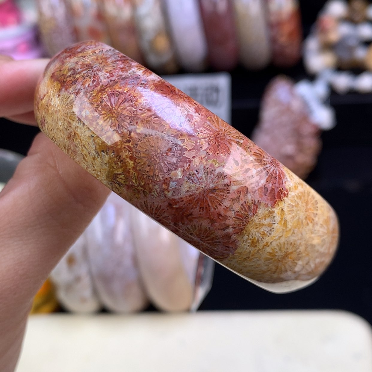 【闪购商品】颈饰未镶嵌硅化珊瑚（珊瑚玉）11号赞比57.9圈