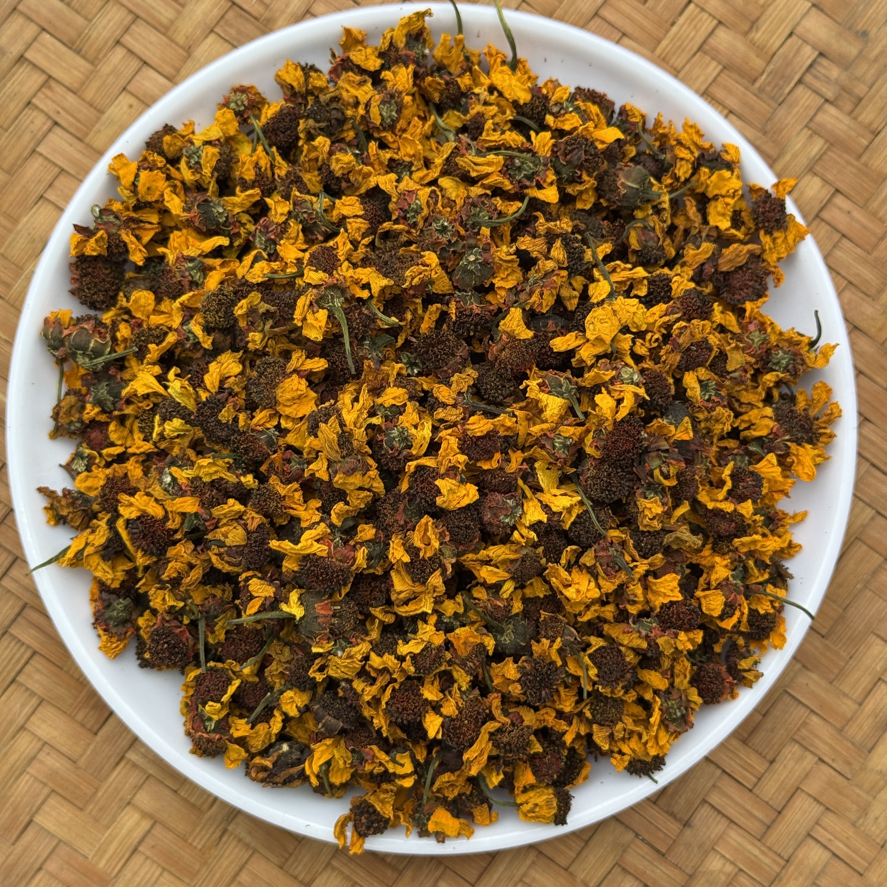 昆仑雪菊  冬青收茶③