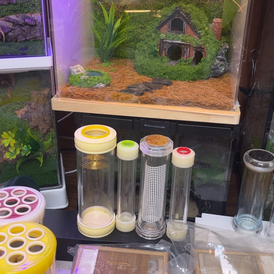 卢***卡生态箱送断腿素背拍拍拍拍