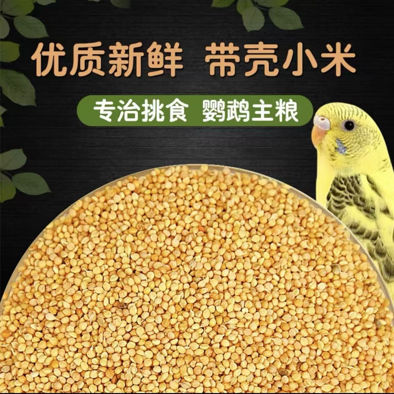 带壳黄谷子小米鹦鹉食粮虎皮牡丹玄凤鸟食饲料