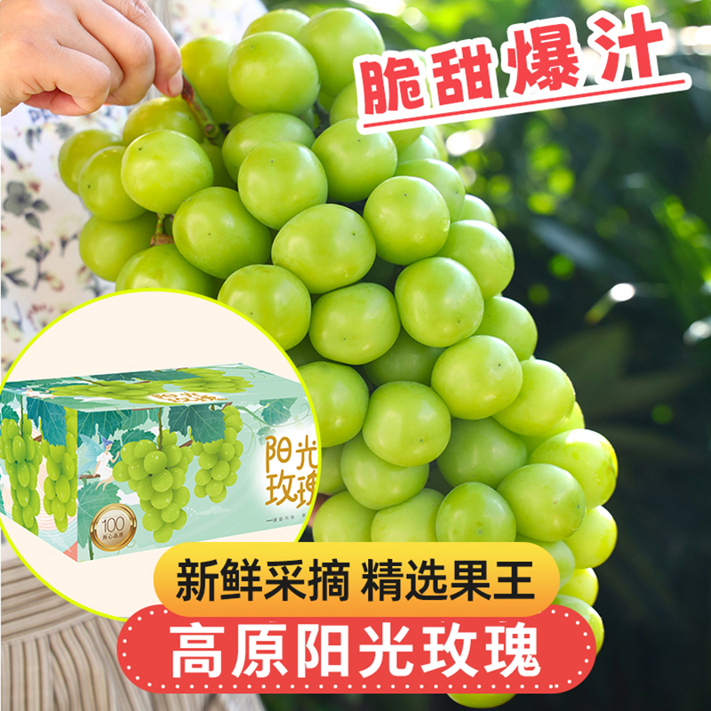 【基地头茬直采】LN1高原阳光玫瑰无籽葡萄新鲜水果3斤