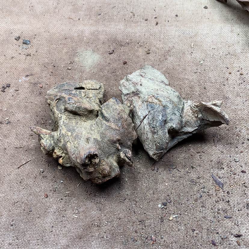 【闪购商品】黄花梨/降香黄檀去**真原材料供应充足