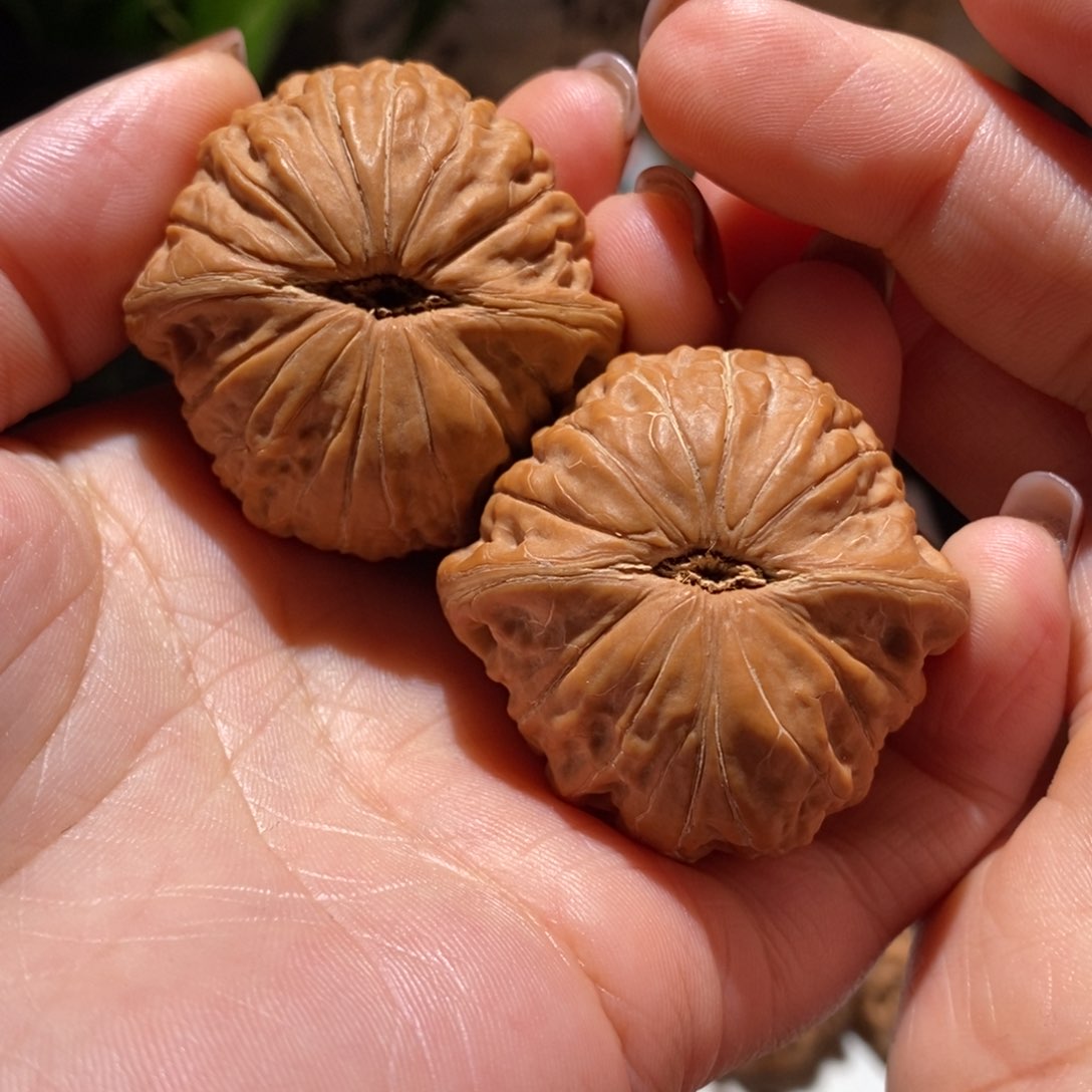 文玩核桃把件半**山铁锤41锤王