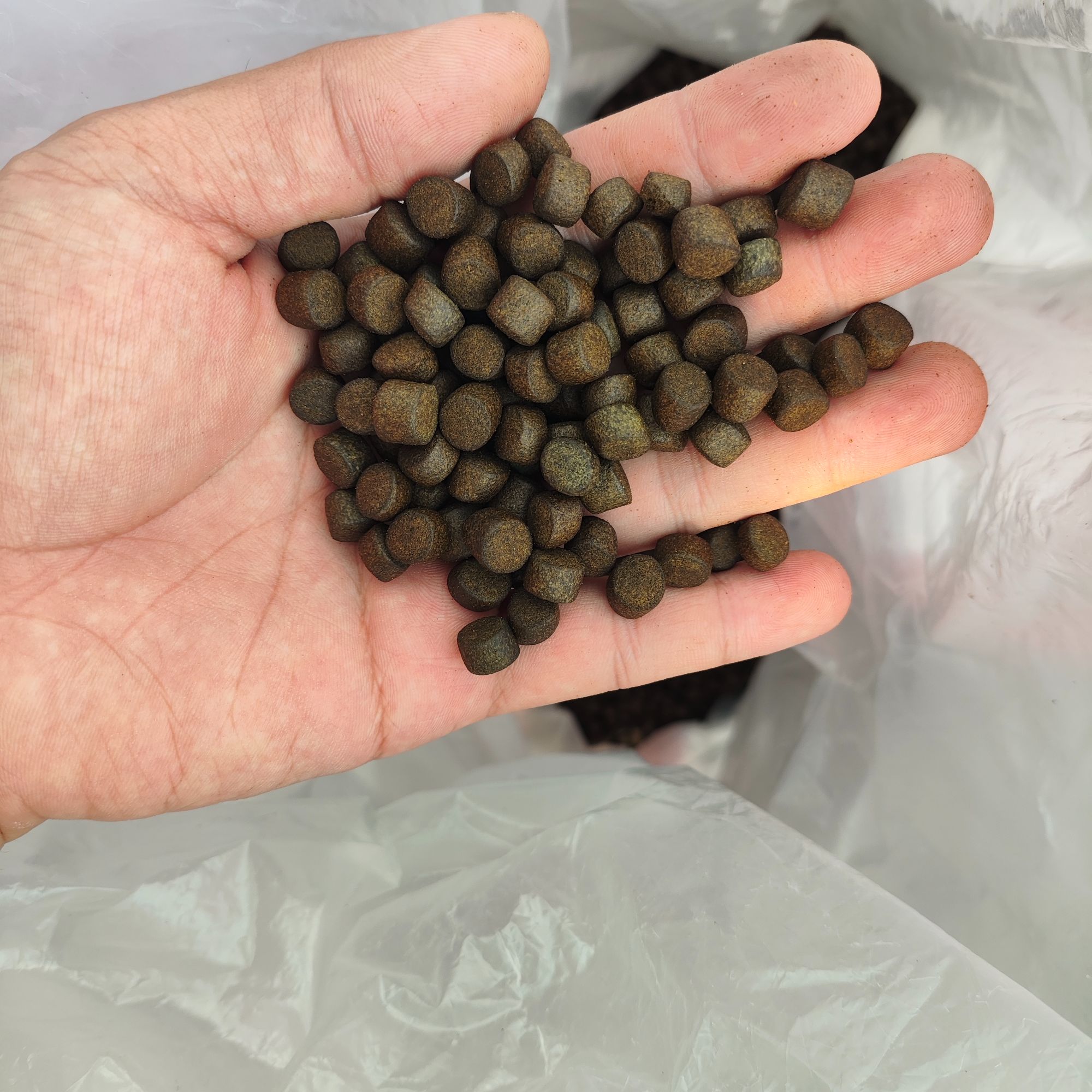 育成增体色扬三合一混合鱼饲料 750g