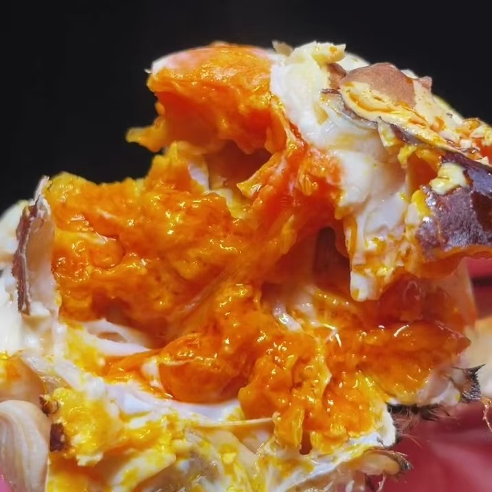 [活蟹]大闸蟹全母蟹单只2.8-3.1两每公斤7只左右