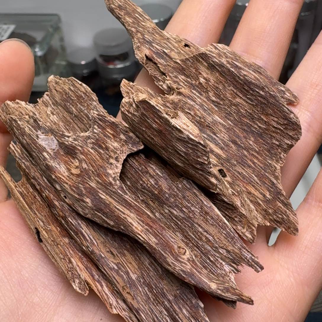 香榧木海南大山淳化虫漏香11克