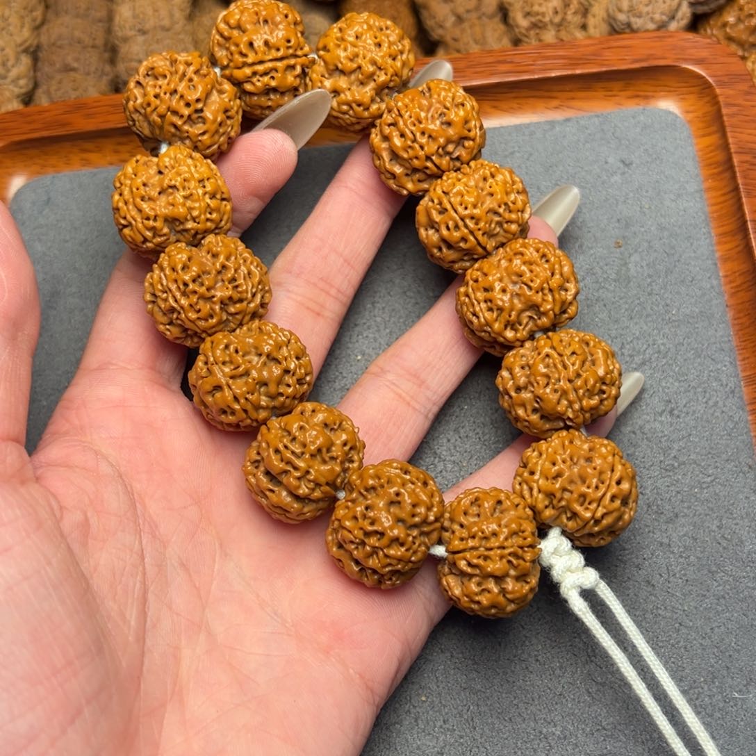 菩提16号尼泊尔大金刚22原生态蜂窝