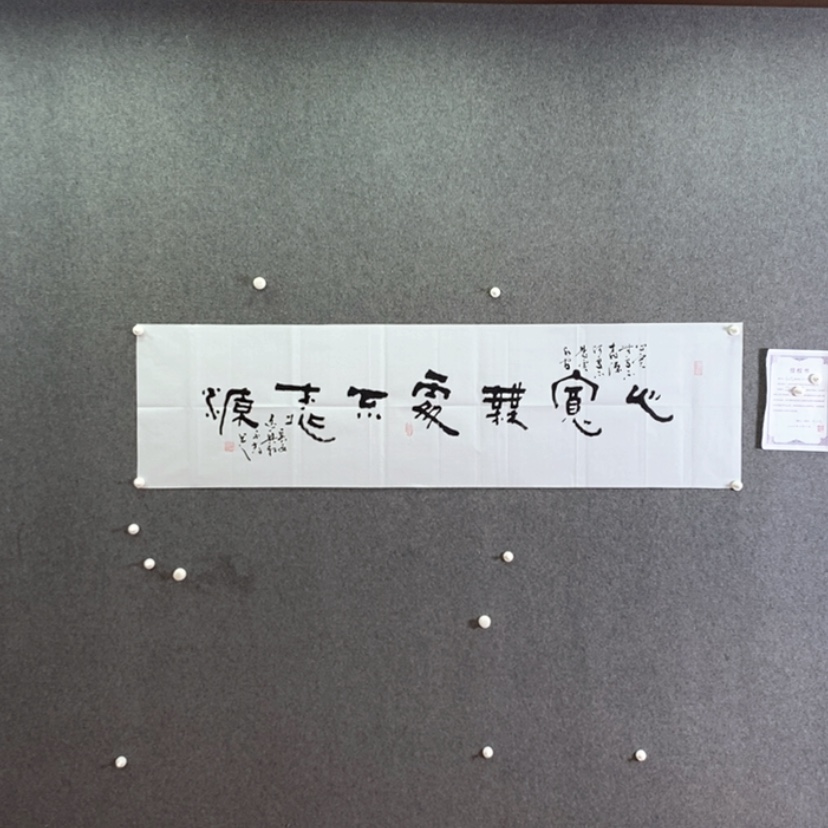 【闪购商品】书法书法作品欣赏，书法书法作品