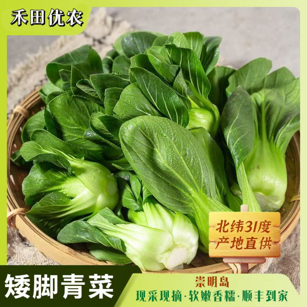 【顺丰包邮】9.9 崇明岛 现摘太湖菜 矮青菜软糯香甜 