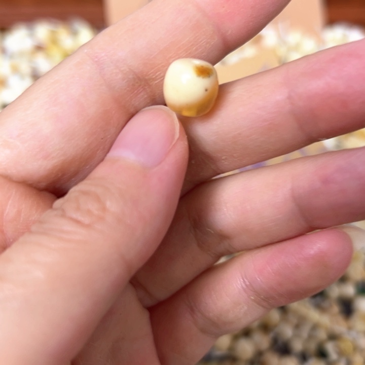 蜜蜡未镶嵌裸石10.6mm一个
