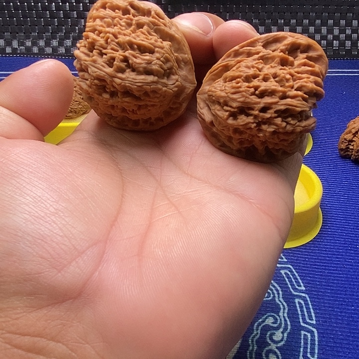 南疆石43尺天残脚